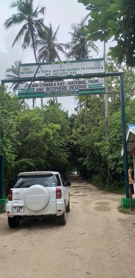 Zanzibar: Jozani Forest & Red Colobus Monkeys Private Tour - Price and value: is $76 per person a smart use of time?