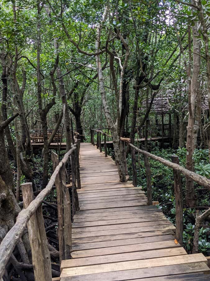 Zanzibar: Jozani Forest + Rock Restaurant - What to bring for a smooth day in Zanzibar