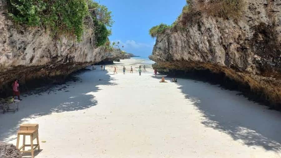Zanzibar: Jozani Forest, Salaam Cave & Mtende Beach tours - Jozani Forest and the Red Colobus Monkey Walk
