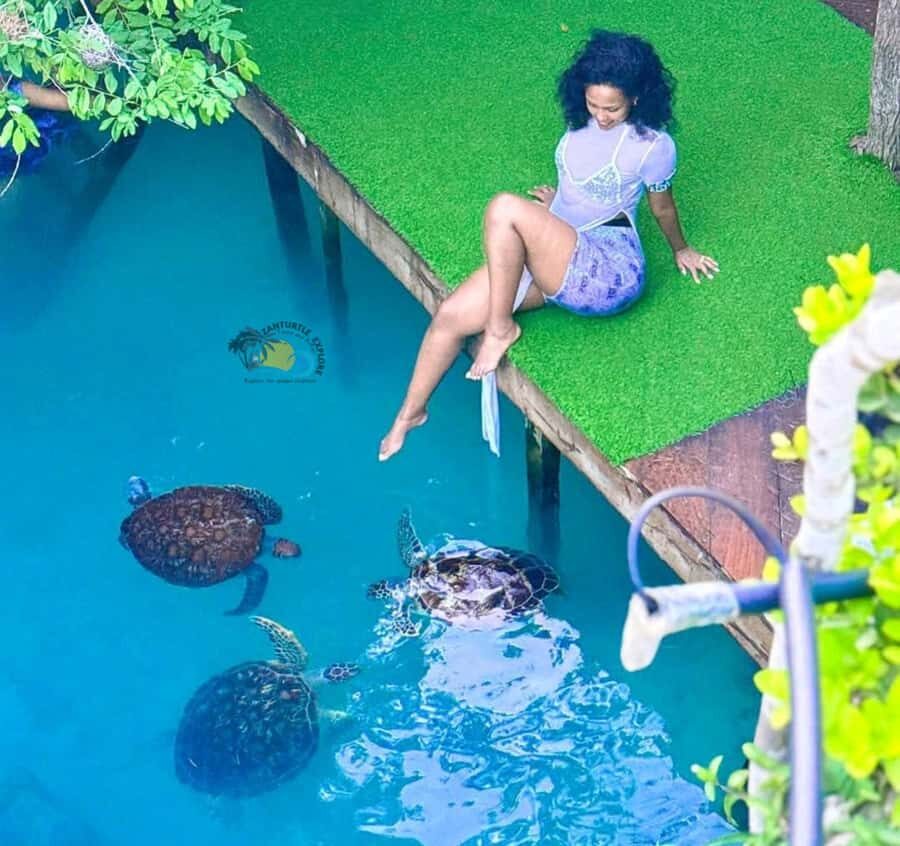 Zanzibar: Jozani Forest & Salaam Cave Sea Turtles Swim Tour - Jozani Forest and red colobus monkeys: why this stop is the whole point