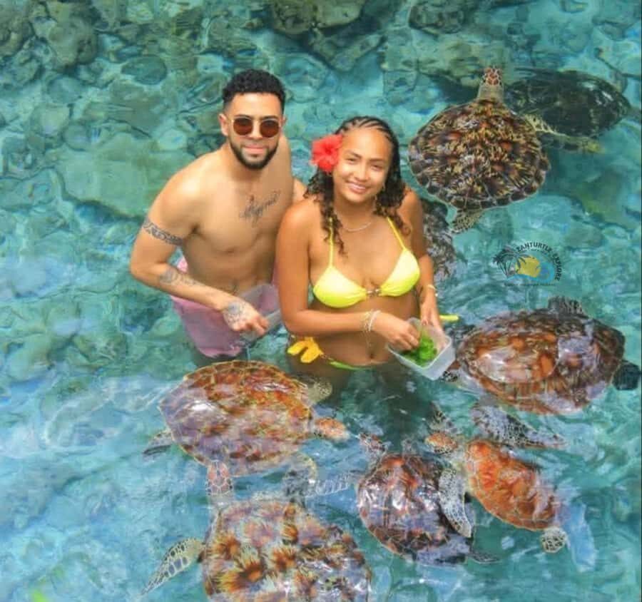 Zanzibar: Jozani Forest & Salaam Cave Sea Turtles Swim Tour - Where the “sea turtle swim” fits in (and what to do about timing)