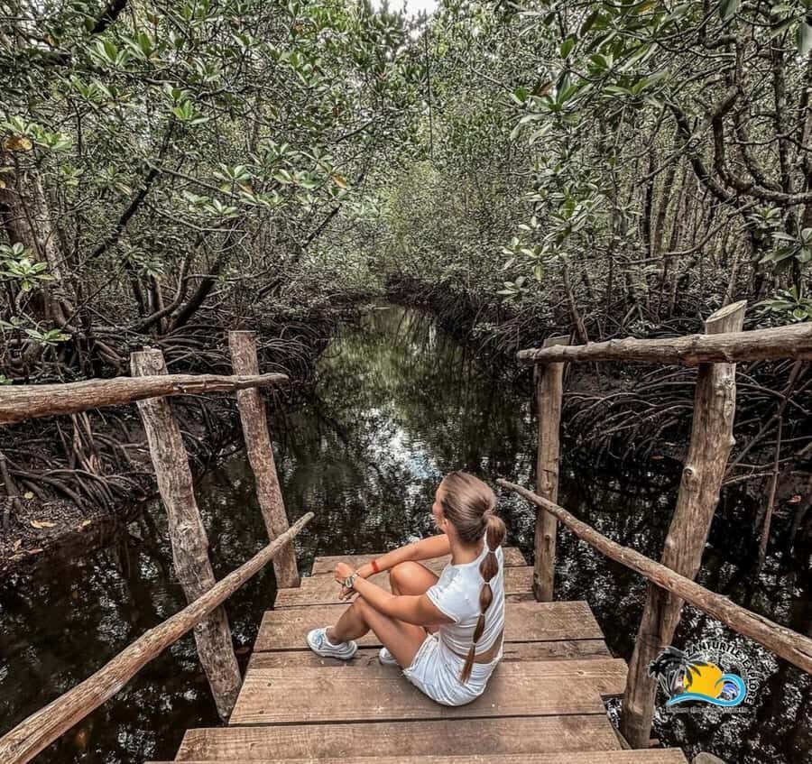 Zanzibar: Jozani Forest & Salaam Cave Sea Turtles Swim Tour - Price and value: what $95 buys you (and what it doesn’t)