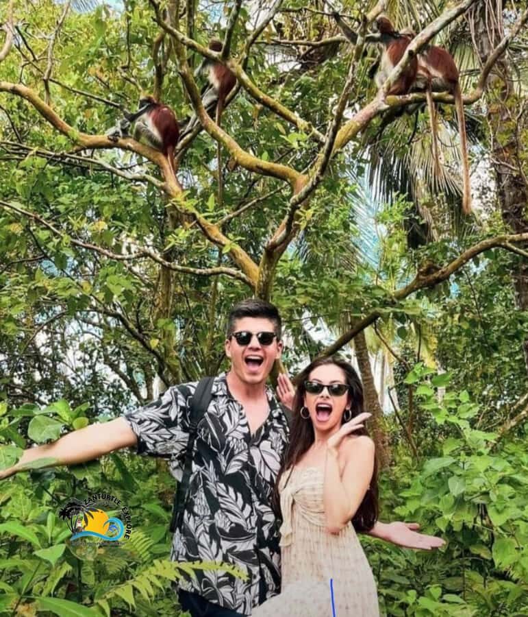 Zanzibar: Jozani Forest Tour and The Rock Restaurant - What to bring, what to skip, and small practical tips