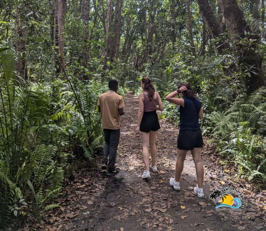 Zanzibar: Jozani Forest Tour and The Rock Restaurant - Who this tour fits best (and who should choose something else)
