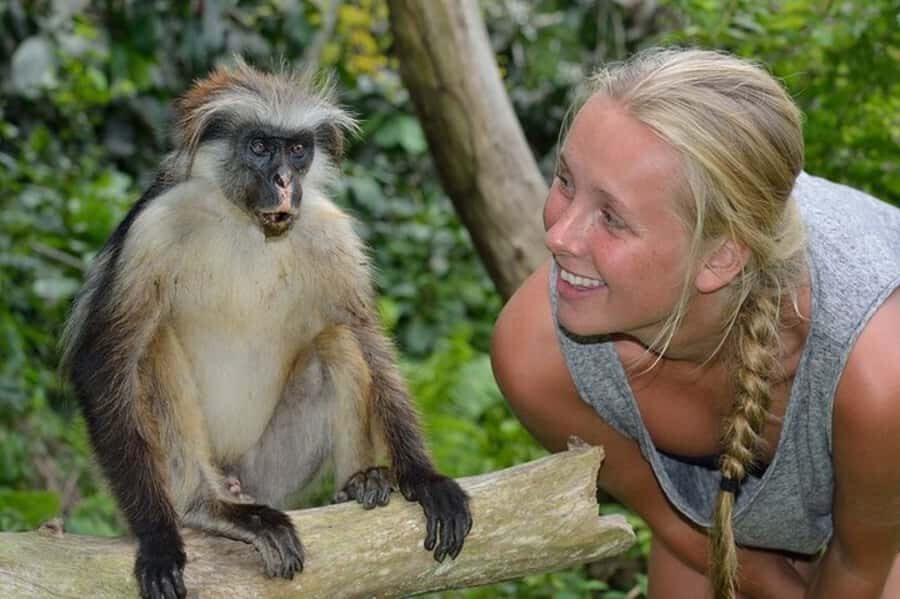 Zanzibar: Jozani Forest Watching Colobus Monkeys Guided Tour - Key Highlights at a Glance