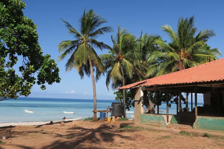 Zanzibar: Jozani Forest Watching Colobus Monkeys Guided Tour - What to Bring: Simple Things That Make the Walk Better