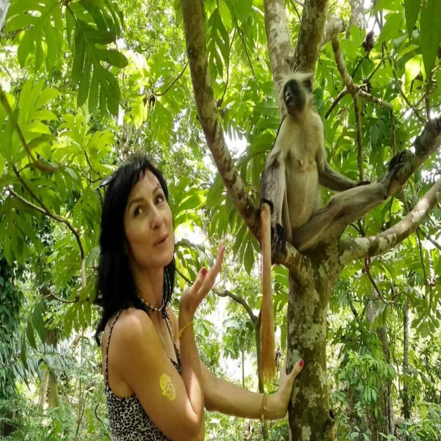 ZANZIBAR: Jozani Forest,Salaam Cave, The Rock & Blue Lagoon - Should you book ZANZIBAR: Jozani Forest, Salaam Cave, The Rock & Blue Lagoon?