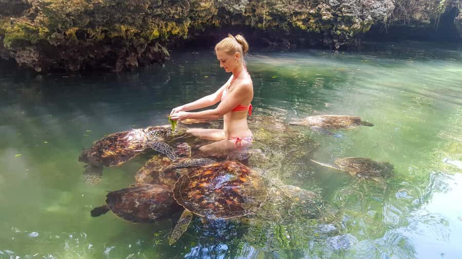 Zanzibar: Maasai village and Nungwi turtles experience trip - Maasai Village Stop: Customs, Dance, and Real Cultural Context