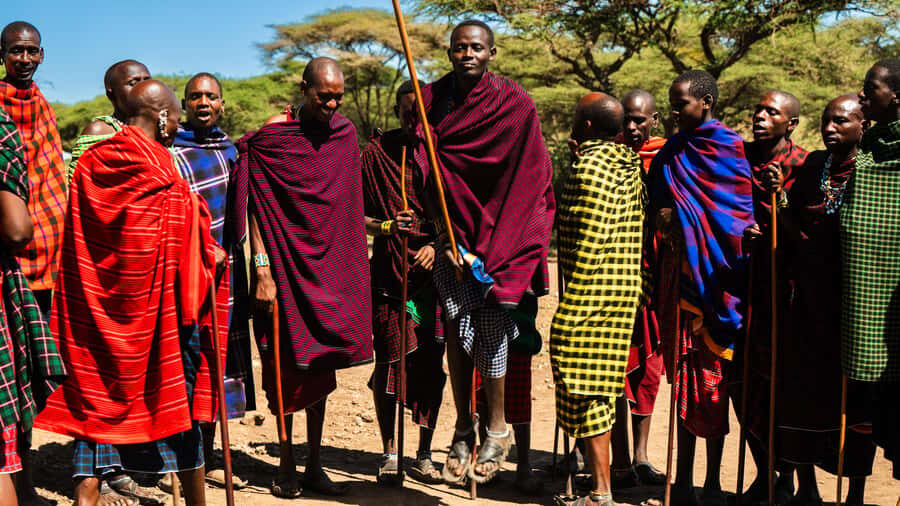 Zanzibar: Maasai village and Nungwi turtles experience trip - What’s Really Happening Here: Rehabilitation, Baby Turtle Protection, and Threats