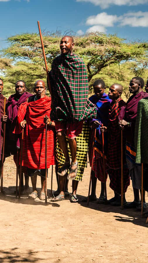 Zanzibar: Maasai village and Nungwi turtles experience trip - Price and Value: Is $50 Worth It?