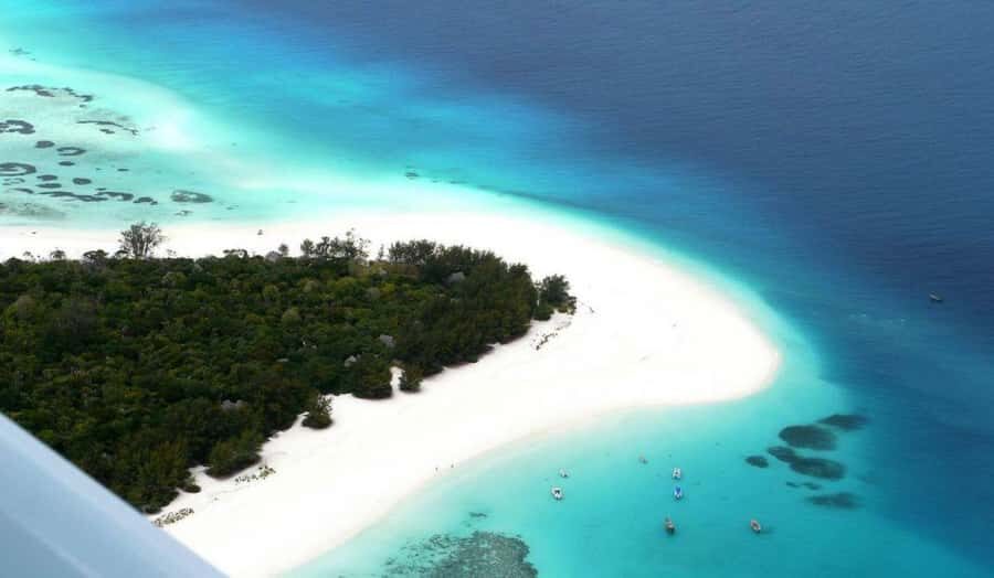 Zanzibar: Mnemba Island Atoll Guided Day Trip - Jozani Forest with red colobus monkeys up close