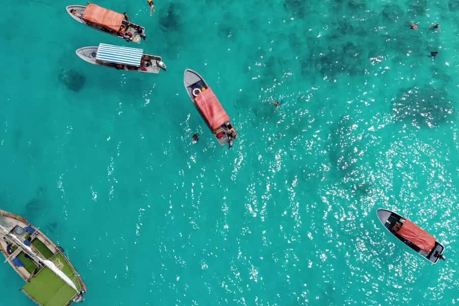 Zanzibar: Mnemba Island Dolphin and Snorkeling Tour - Swimming With Dolphins at Mnemba: Thrill Level High, Control Level Medium