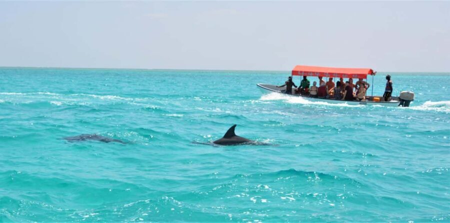 Zanzibar: Mnemba Island Private Snorkeling Tour and Pickup - Between Swims: Fruits, Soft Drinks, and a Comfortable Pace