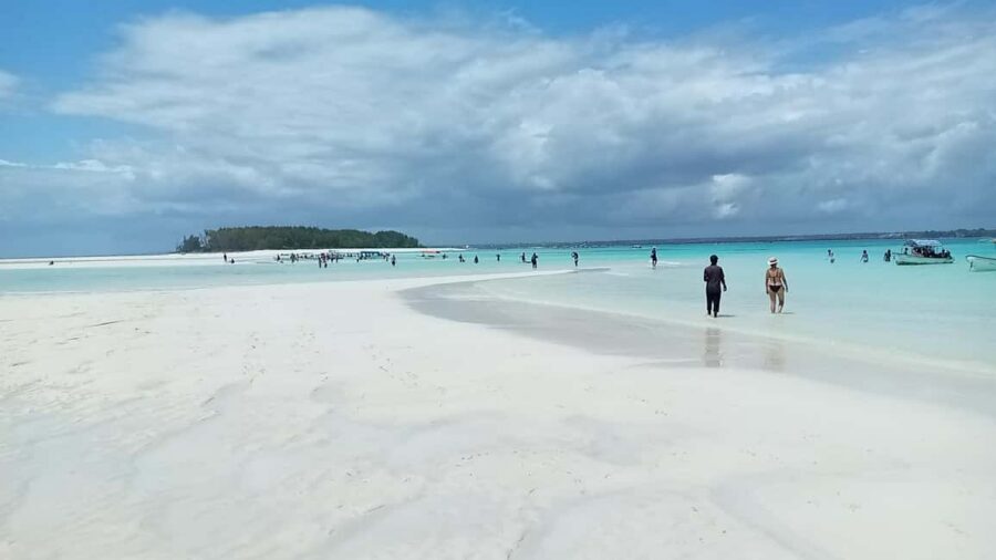 Zanzibar: Mnemba Island Private Snorkeling Tour and Pickup - Boat Crew and Guide Energy: Patcha’s Team and the Value of Listening