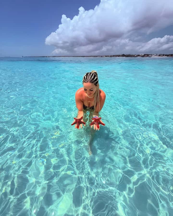 Zanzibar: Mnemba Island Snorkeling and Dolphin Tour - Van Ride to the Coast: What the Timing Feels Like