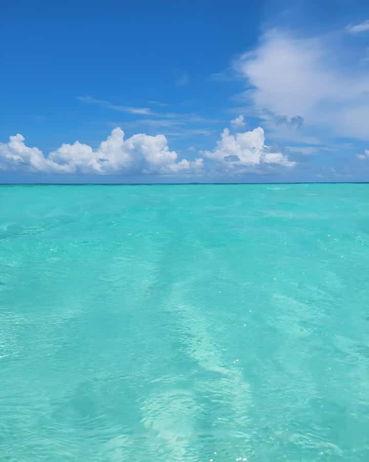 Zanzibar: Mnemba Island Snorkeling and Dolphin Tour - Dolphin Time Around Mnemba Island: Calm Seas Decide
