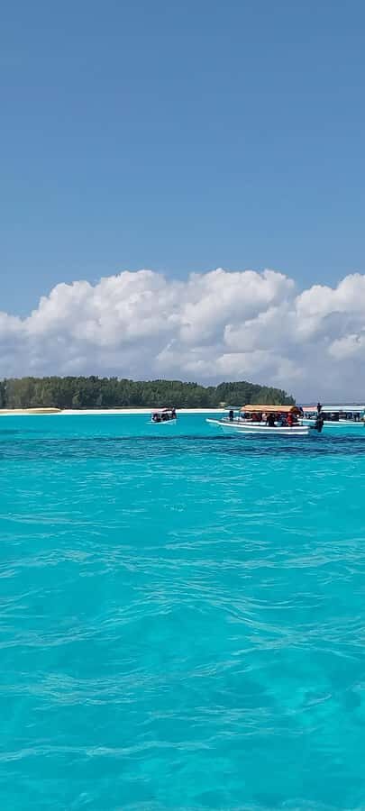 Zanzibar: Mnemba Island Snorkeling & Dolphin - Who Should Book This Mnemba Trip—and Who Should Think Twice