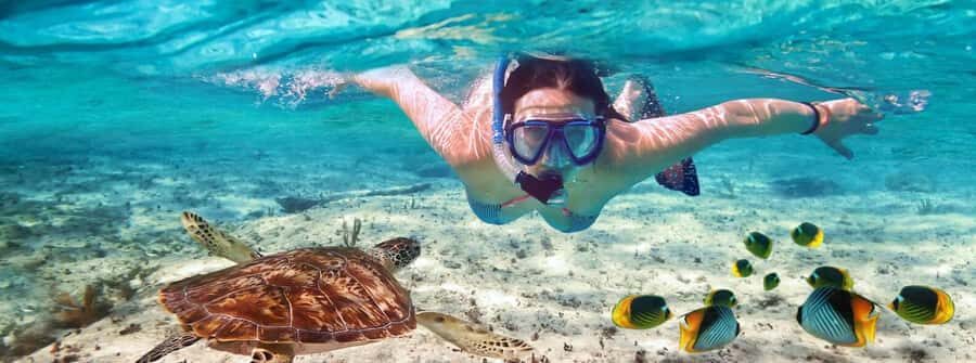 Zanzibar Mnemba island snorkling & swim with turtles Tour - Nungwi Turtle Sanctuary: swimming with rescued sea turtles (responsibly)