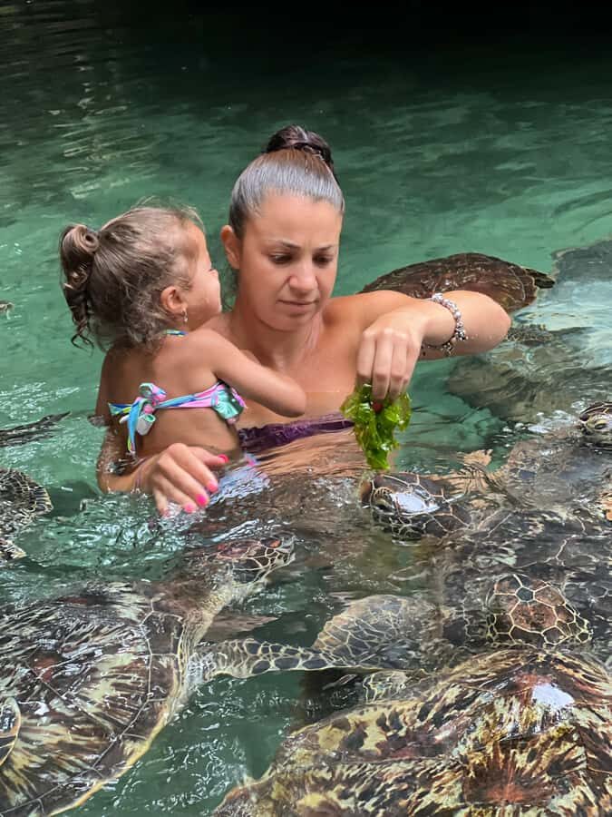Zanzibar Mnemba island snorkling & swim with turtles Tour - Who this tour suits best (and what to think about first)