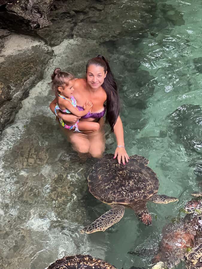 Zanzibar Mnemba island snorkling & swim with turtles Tour - Responsible wildlife time: getting the best encounter with less chaos