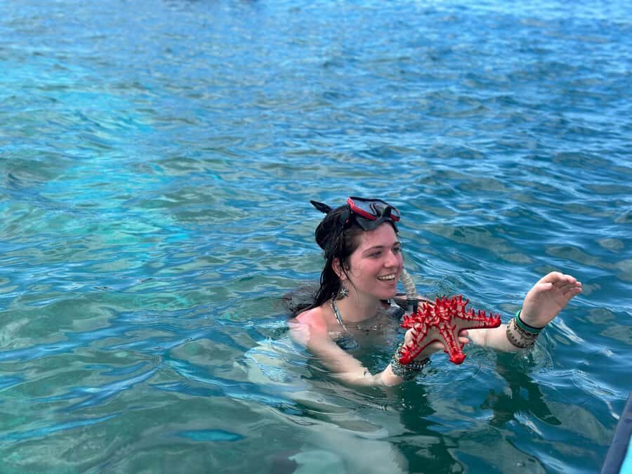 Zanzibar: Mnemba Island&Dolphin Swim With Optional Lunch - Snorkeling at Mnemba Atoll: reef time that’s actually worth it
