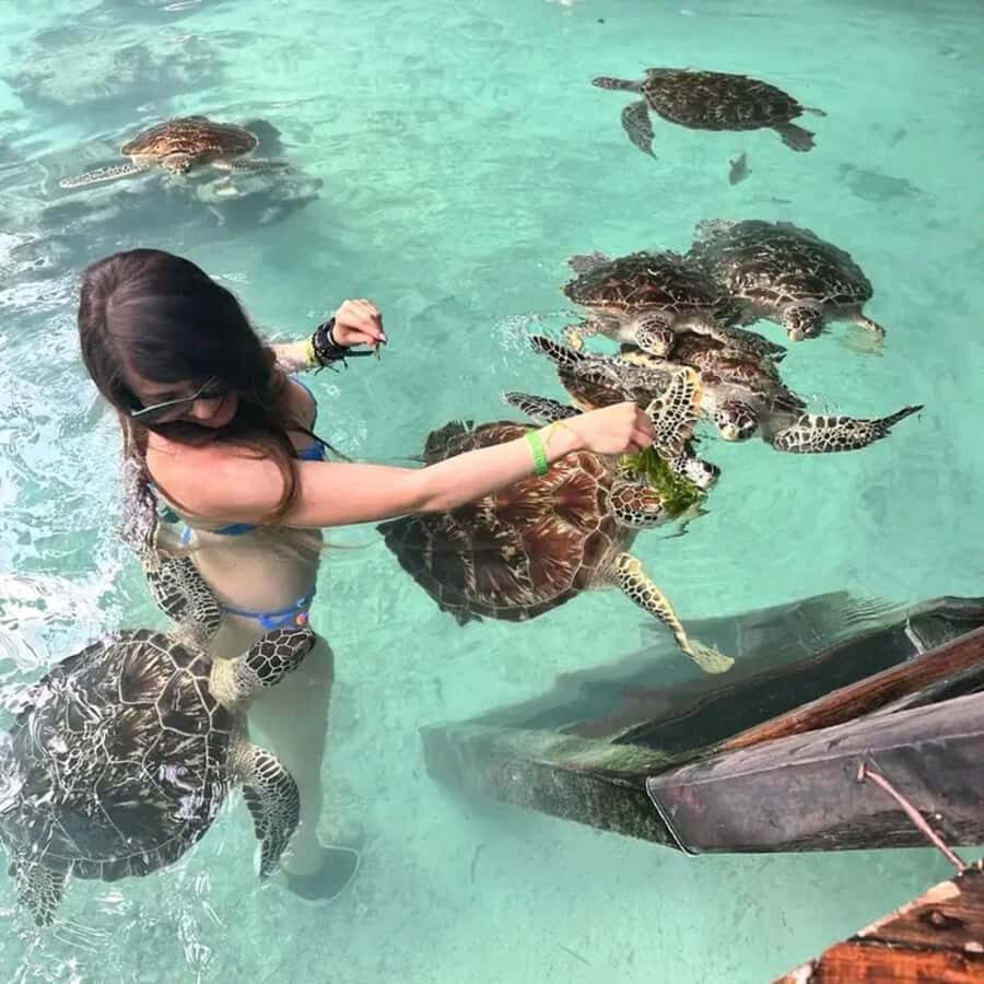 Zanzibar Nature Combo: Salaam Cave Swim & Jozani Forest Tour - Who should book this Zanzibar Nature Combo (and who shouldn’t)
