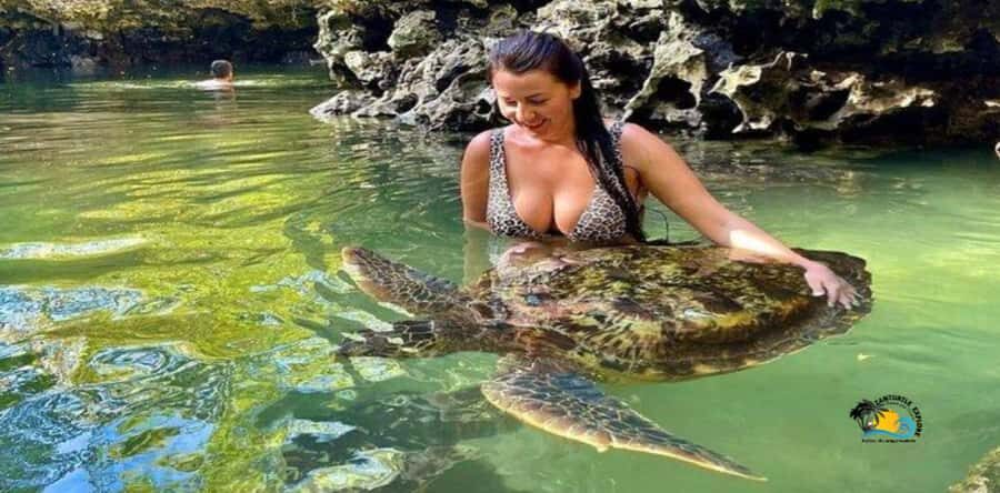 Zanzibar: Nungwi Cultural Village Tour and Swim Turtles - Key takeaways before you go