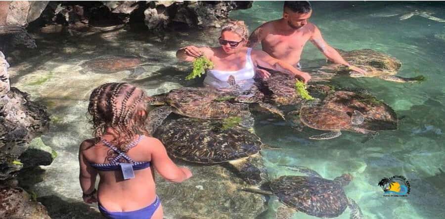 Zanzibar: Nungwi Cultural Village Tour and Swim Turtles - Traditional homes and local crafts: weaving, fishing routines, and Ukili