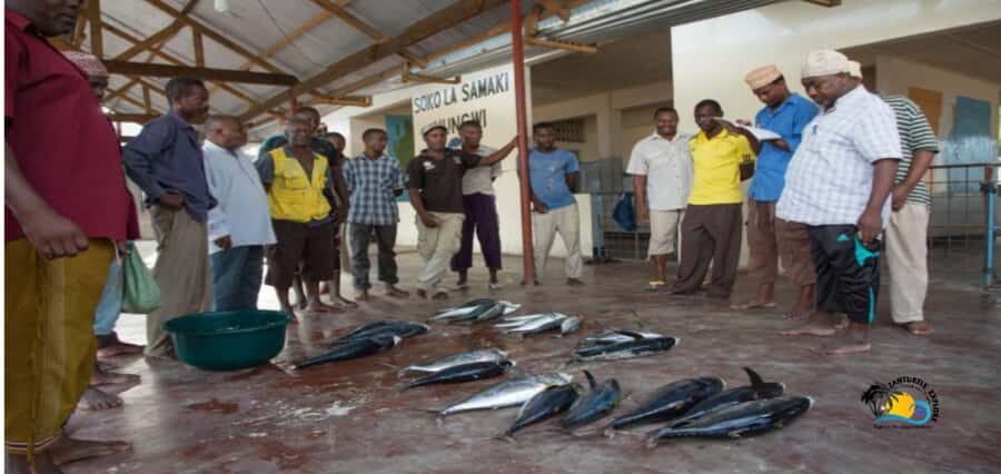 Zanzibar: Nungwi Cultural Village Tour and Swim Turtles - Zoo conservation: the added conservation stop on this day