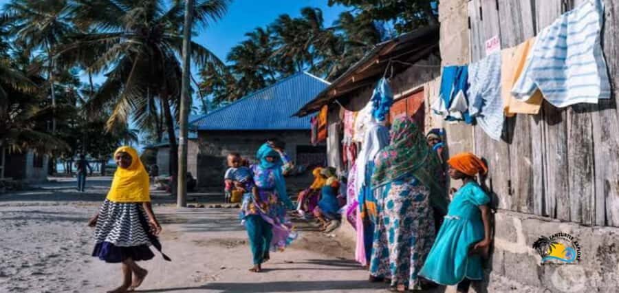 Zanzibar: Nungwi Cultural Village Tour and Swim Turtles - The 5-hour flow: pickup, homes and market, then turtle swim and beach