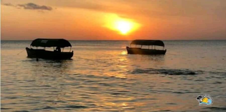 Zanzibar: Nungwi/Kendwa Beach Sunset Dhow Cruise with Fruits - How the 1.5–2 Hour Cruise Works on the Water