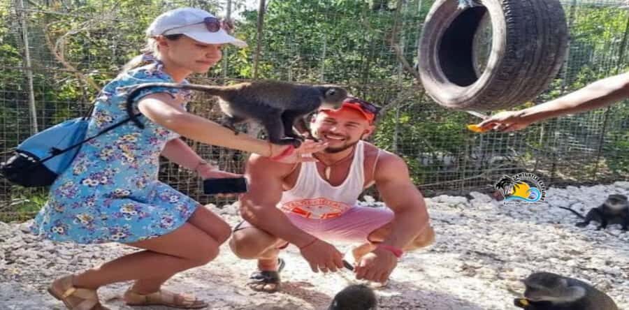 Zanzibar: Nungwi Kilosa Zoo Conservation Tour - Why Kilosas in Nungwi Works So Well for a Short Tour