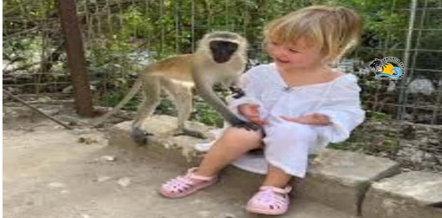 Zanzibar: Nungwi Kilosa Zoo Conservation Tour - Nungwi Zoo-Style Conservation, But With Real Purpose