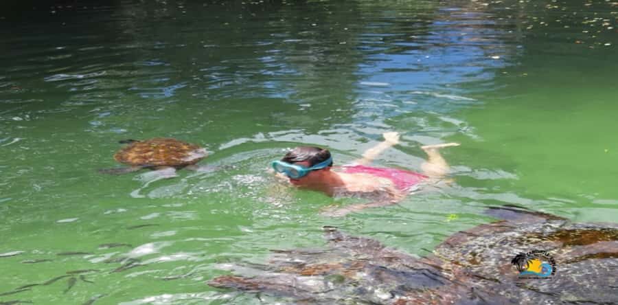 Zanzibar: Nungwi Kilosa Zoo & Swimming with Turtles - From Pickup to Nungwi Zoo: How This Day Trip Really Starts
