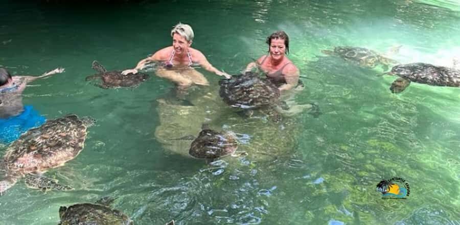Zanzibar: Nungwi Kilosa Zoo & Swimming with Turtles - Nungwi Break Time and Local Lunch: Planning for the Meal You Choose
