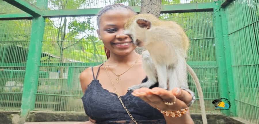 Zanzibar: Nungwi Kilosa Zoo & Swimming with Turtles - Baraka Aquarium Turtle Swim: How to Stay Safe and Still Have Fun