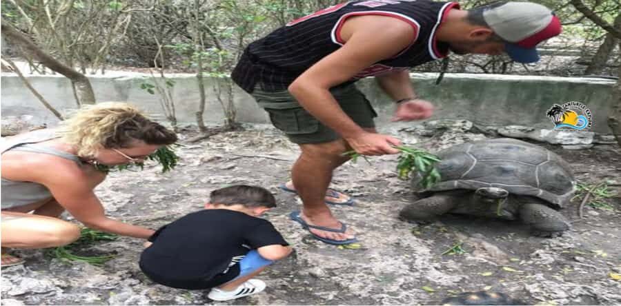 Zanzibar: Nungwi Kilosa Zoo & Swimming with Turtles - Price and Logistics: Is $61 Good Value?