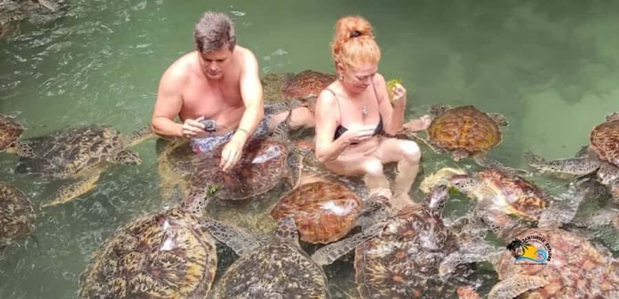 Zanzibar: Nungwi Kilosa Zoo & Swimming with Turtles - Kilosa Zoo Conservation: Animal Encounters With a Purpose