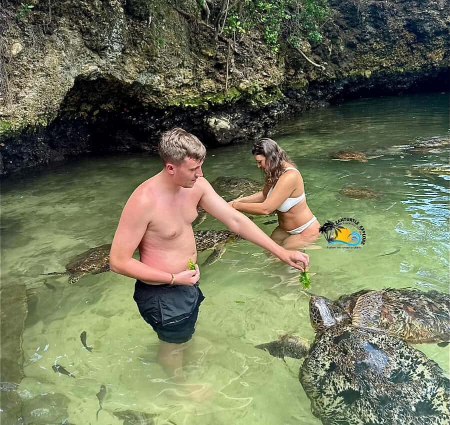 Zanzibar: Nungwi Mnarani Aquarium Feed and Swim with Turtles - Key things to know before you go