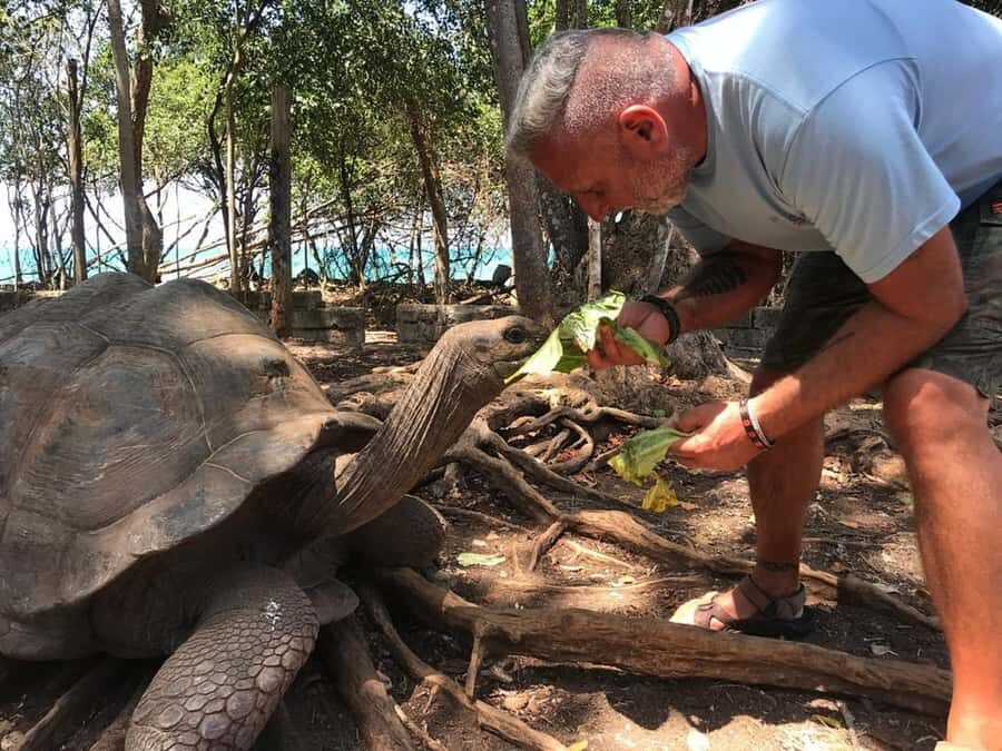 Zanzibar: Prison island half day tour - The speed boat and water time: what to expect (and how to prep)