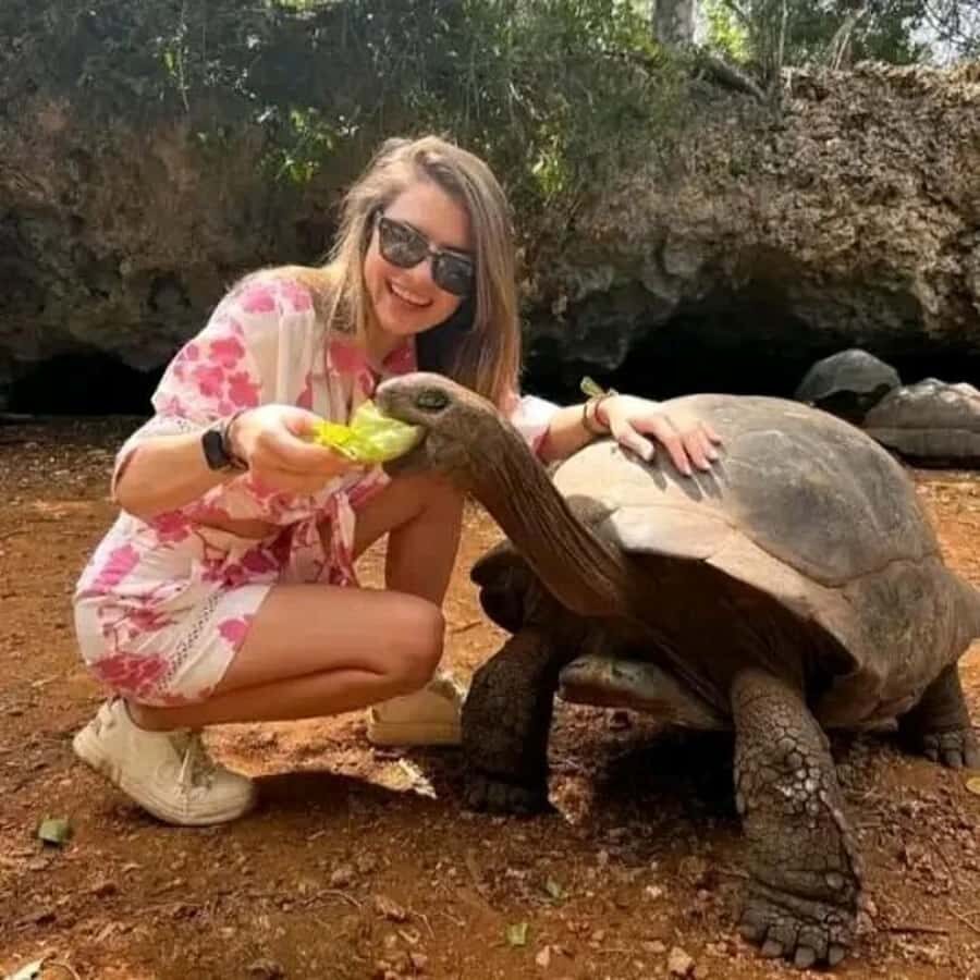 Zanzibar: Prison island half day tour - Who should book, and who should skip it