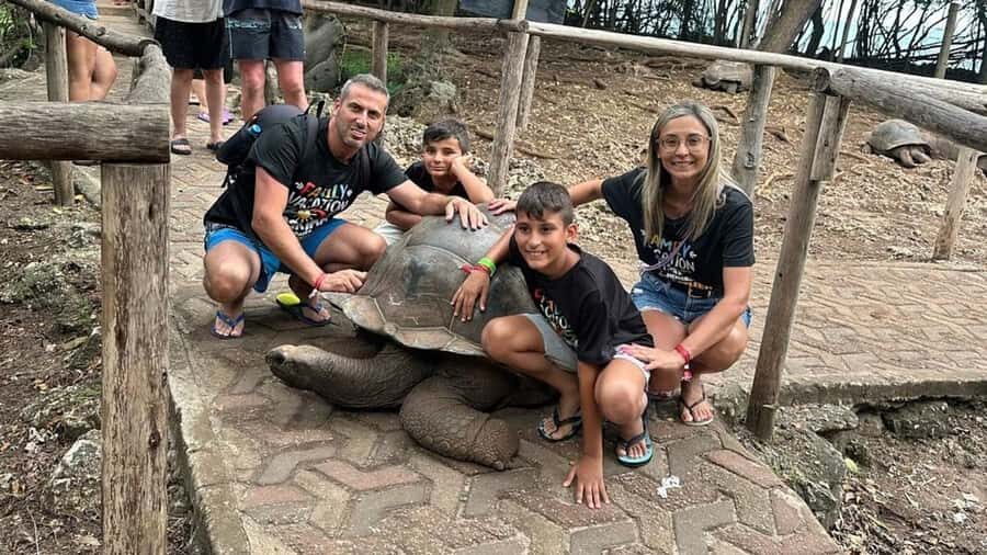 Zanzibar: Prison island half day tour - Prison Island: giant Aldabra tortoises up close
