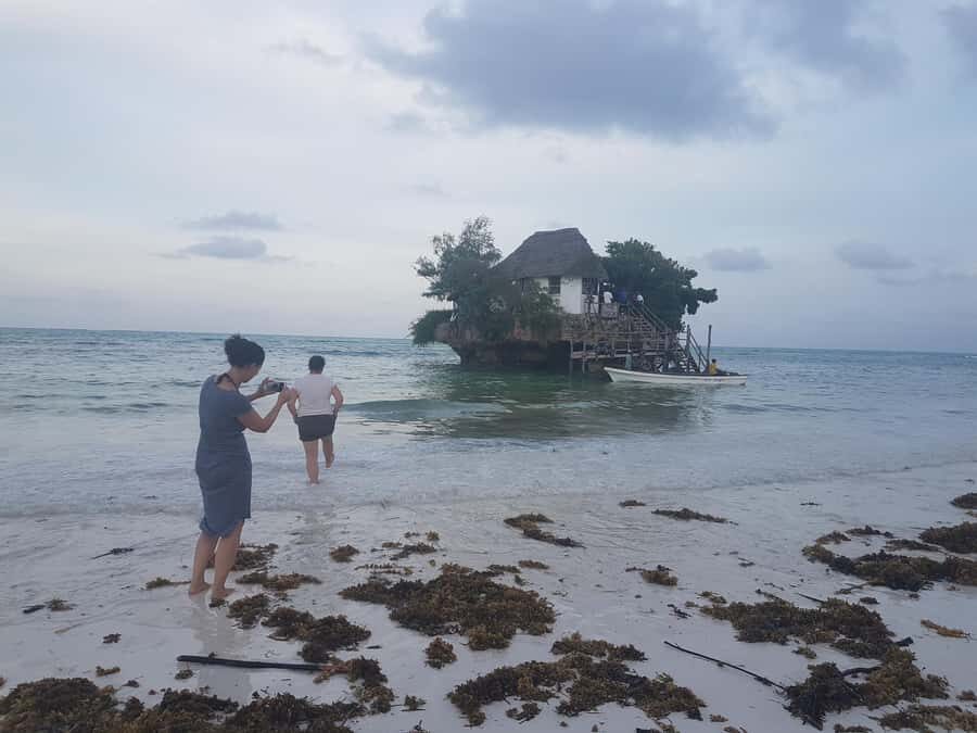 Zanzibar: Prison Island, Jozani Forest and Paje Beach Tour - The morning transport and dhow trip that set the tone