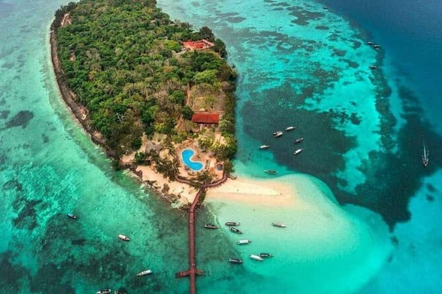 ZANZIBAR: Prison Island, Jozani Forest & SeaTurtle Sanctuary - Why This 8-Hour Combo Tour Works on Zanzibar