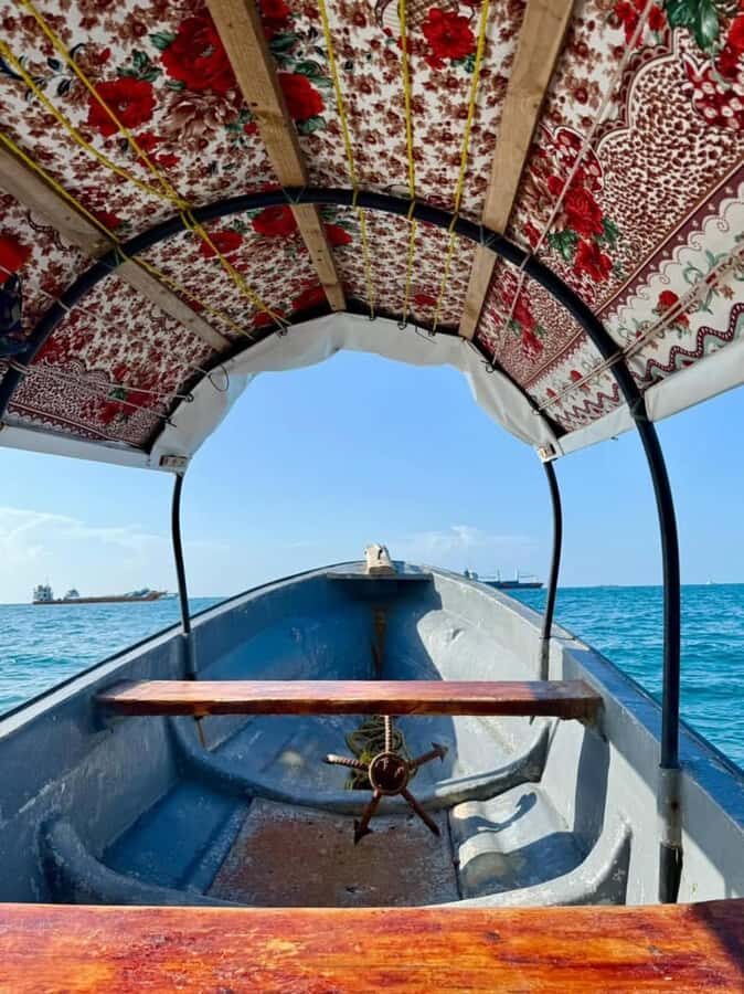 Zanzibar: Prison island & Nakupenda Sandbank Small-GroupTour - Who should book this Zanzibar trip, and who should skip it