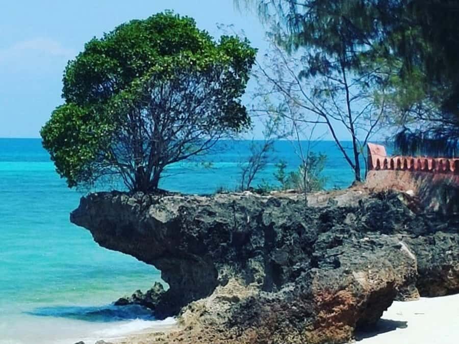 Zanzibar: Prison island Private half day tour - Price and value: $52 plus the Prison Island entry fee