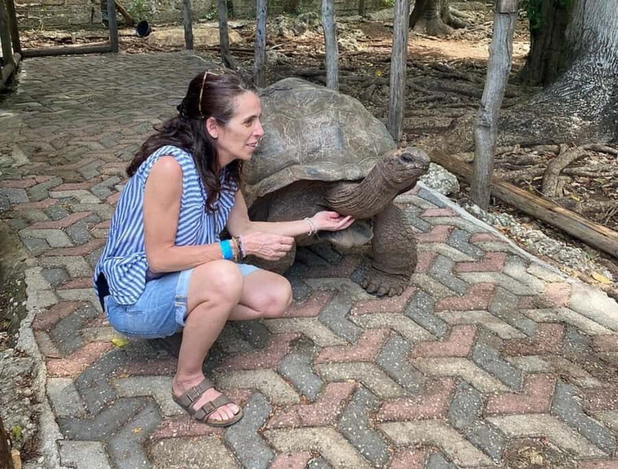 Zanzibar: Prison island Private half day tour - Prison Island itself: giant Aldabra tortoises and the peacock factor