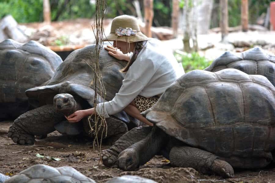 Zanzibar: Prison island, Sea Turtle Sanctuary + Mtende Beach - Guide and driver quality: what matters on a long day