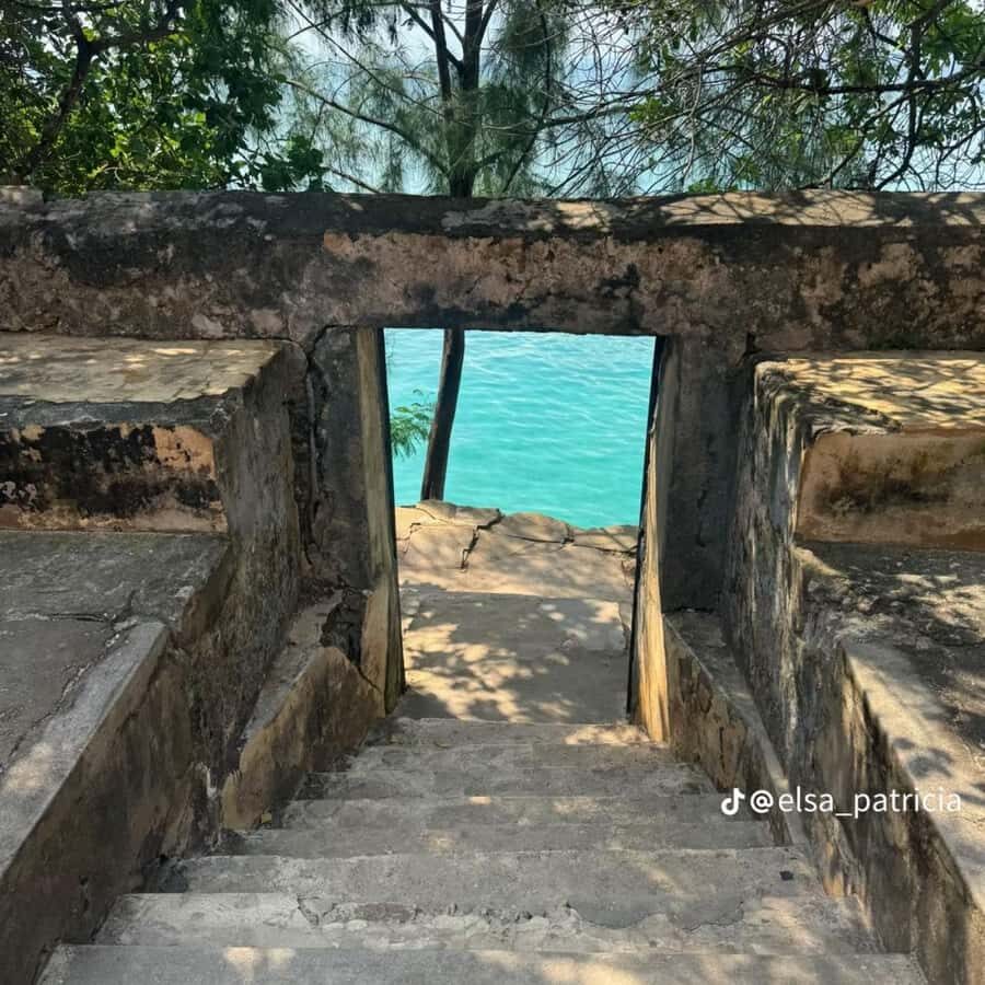 ZANZIBAR: Prison Island, Spice Farm Visit & Turtle Swim Tour - Key highlights you’ll feel immediately