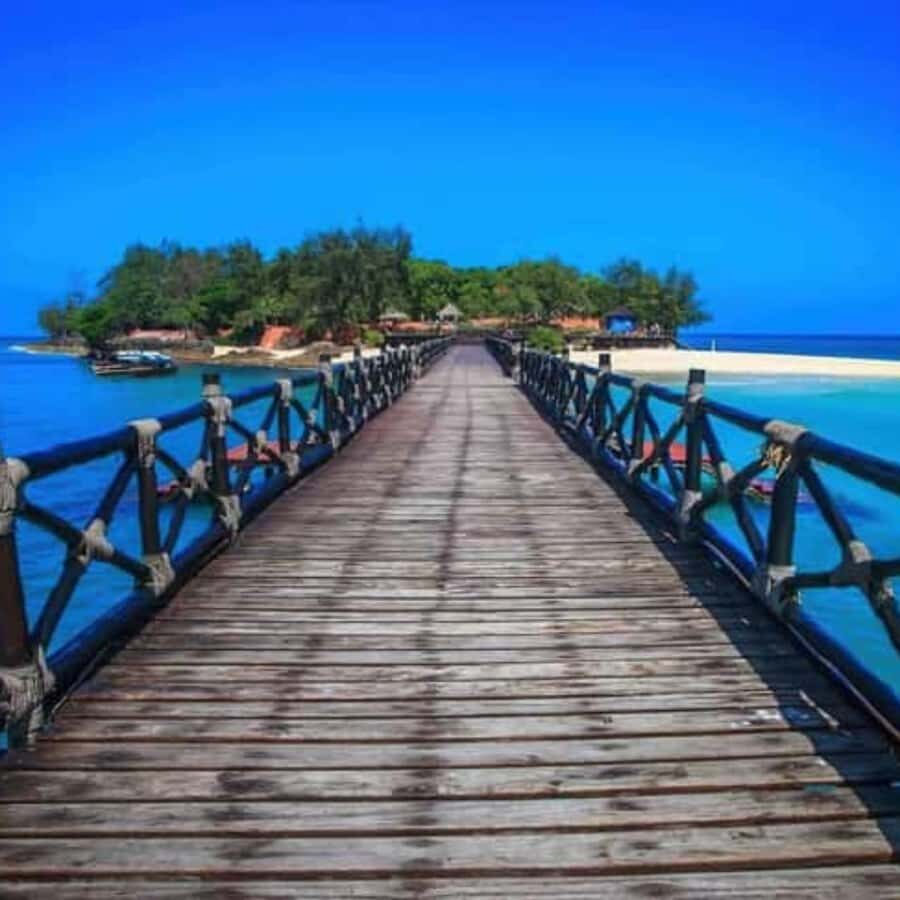 ZANZIBAR: Prison Island, Spice Farm Visit & Turtle Swim Tour - Prison Island + Spice Farm + Turtle Swim: the day plan that makes sense